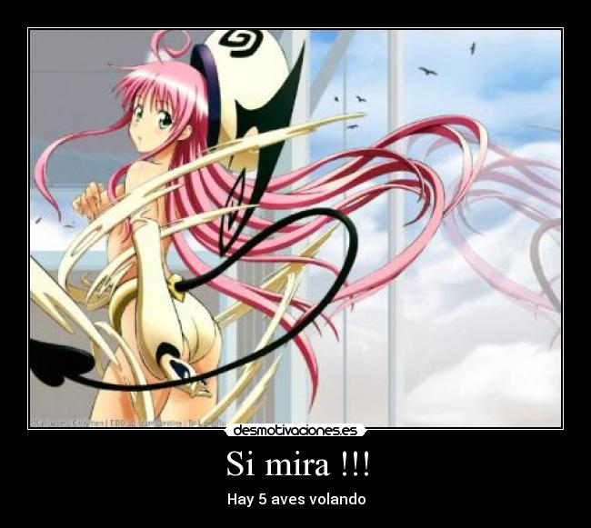 Si mira !!! - Hay 5 aves volando