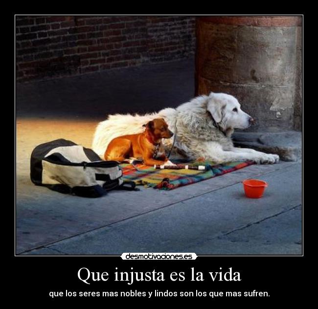 Que injusta es la vida - que los seres mas nobles y lindos son los que mas sufren.