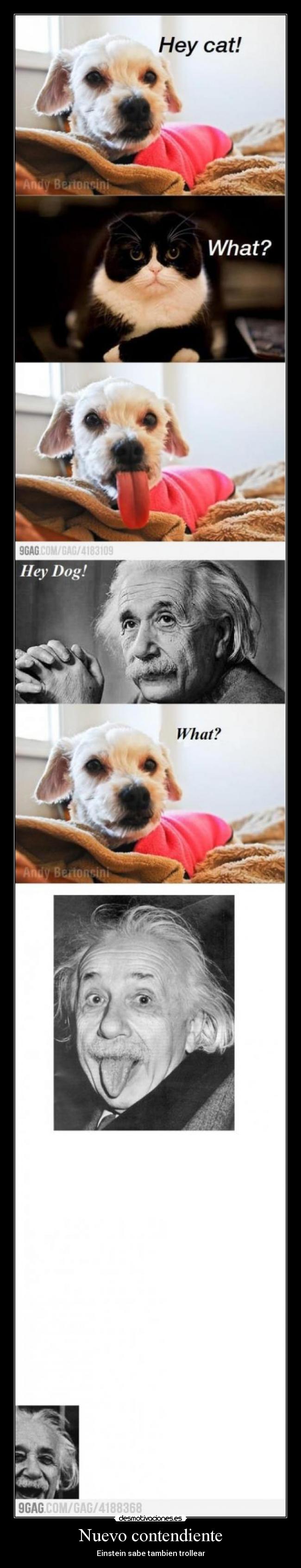 Nuevo contendiente -