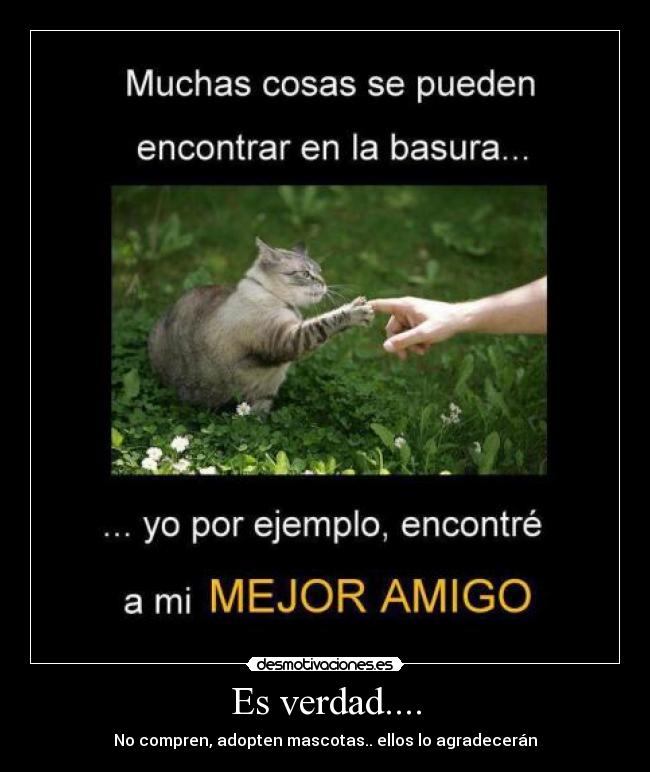 Es verdad.... - 