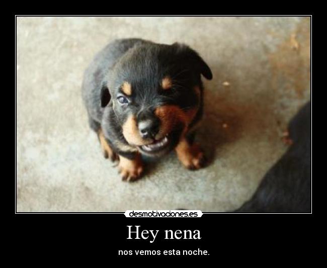 Hey nena - 