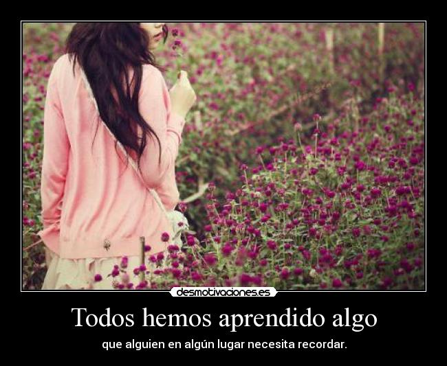 Todos hemos aprendido algo - que alguien en algún lugar necesita recordar.