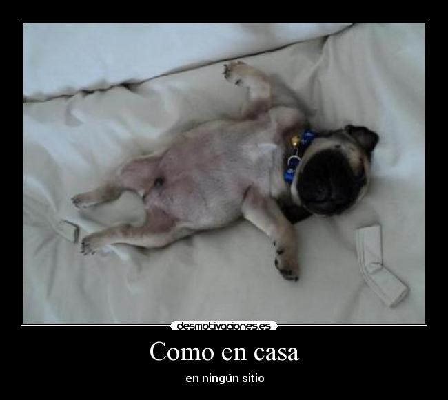 Como en casa - 