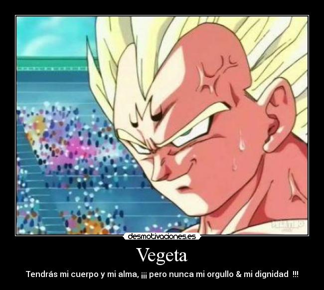 Vegeta - Tendrás mi cuerpo y mi alma, ¡¡¡ pero nunca mi orgullo & mi dignidad  !!!