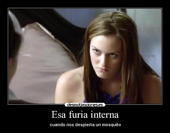 carteles gossip girl serena blair nate chuck chace leighton blake disco desmotivaciones