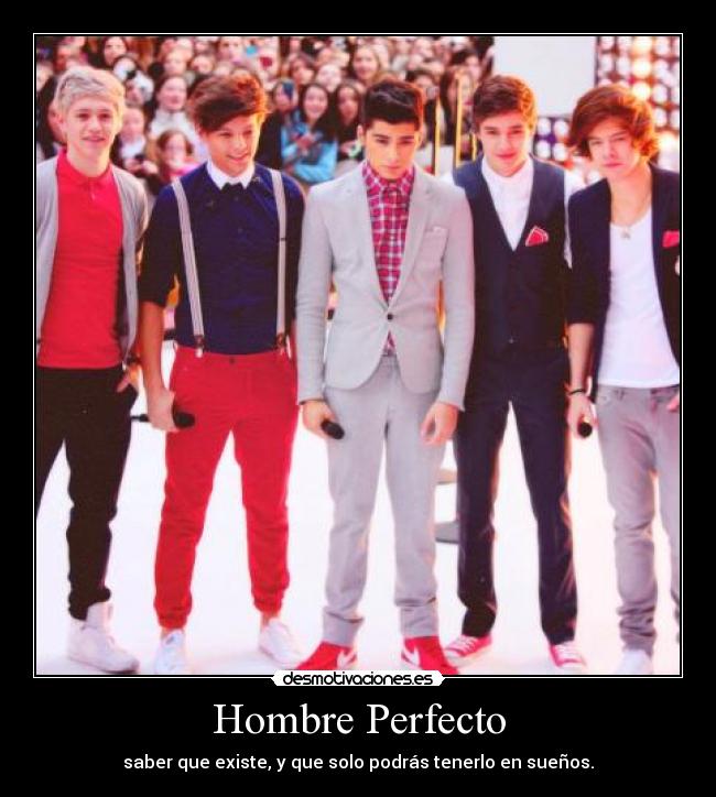 Hombre Perfecto - 