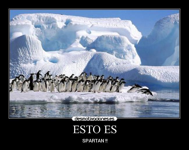 ESTO ES - SPARTAN !!