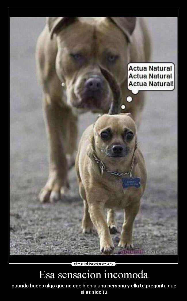 Esa sensacion incomoda -