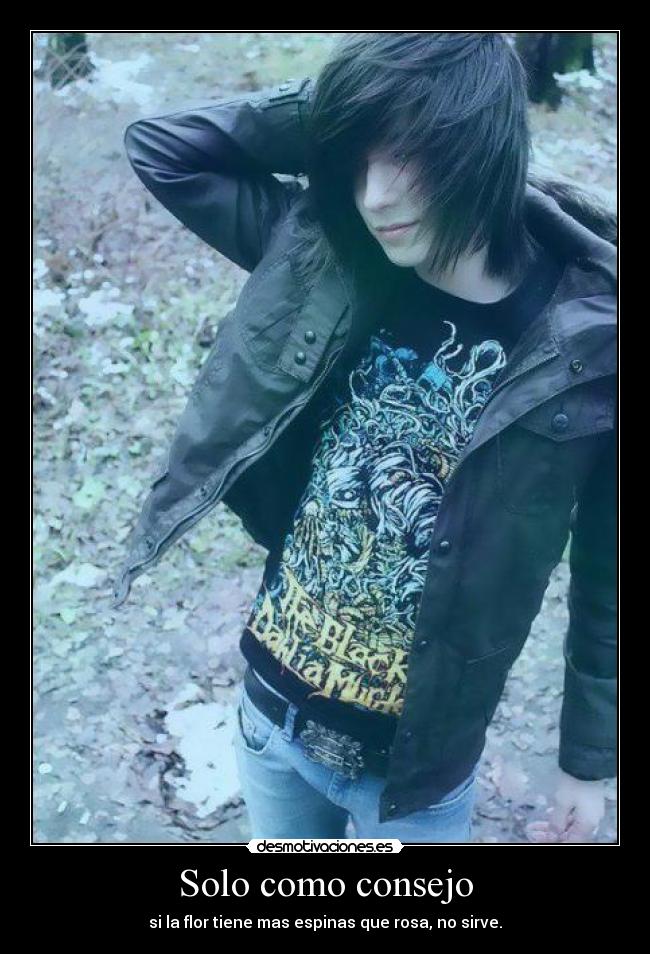 Solo como consejo - si la flor tiene mas espinas que rosa, no sirve.