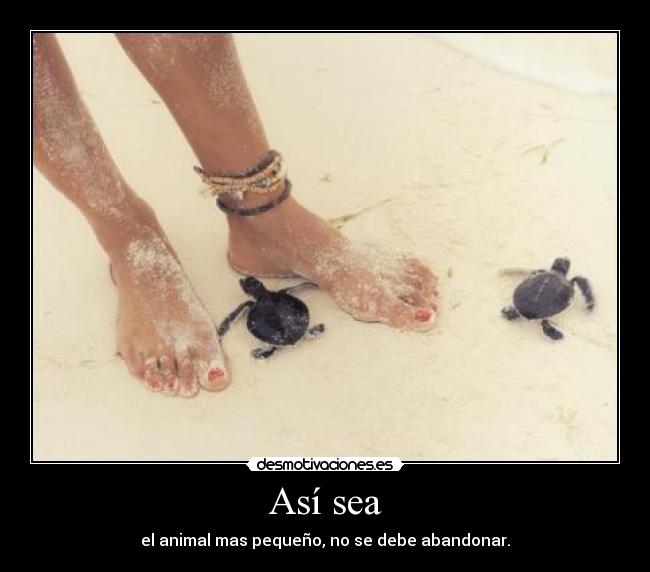 Así sea - el animal mas pequeño, no se debe abandonar.