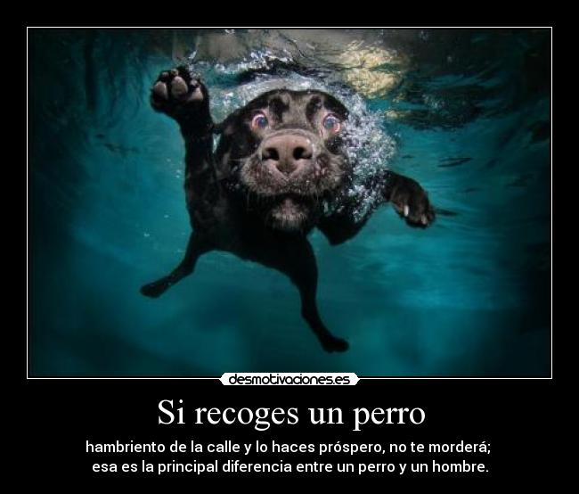 Si recoges un perro - hambriento de la calle y lo haces próspero, no te morderá;
esa es la principal diferencia entre un perro y un hombre.