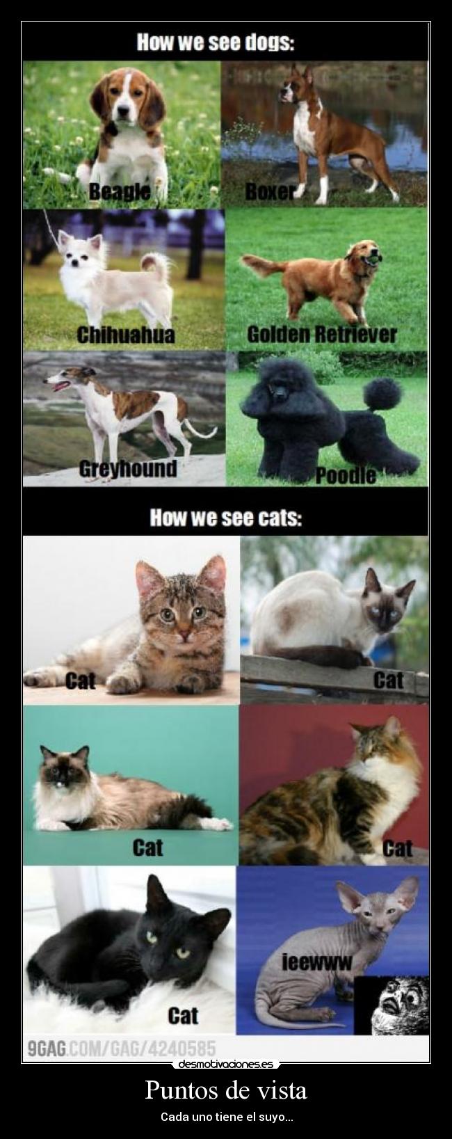 Puntos de vista - Cada uno tiene el suyo...
