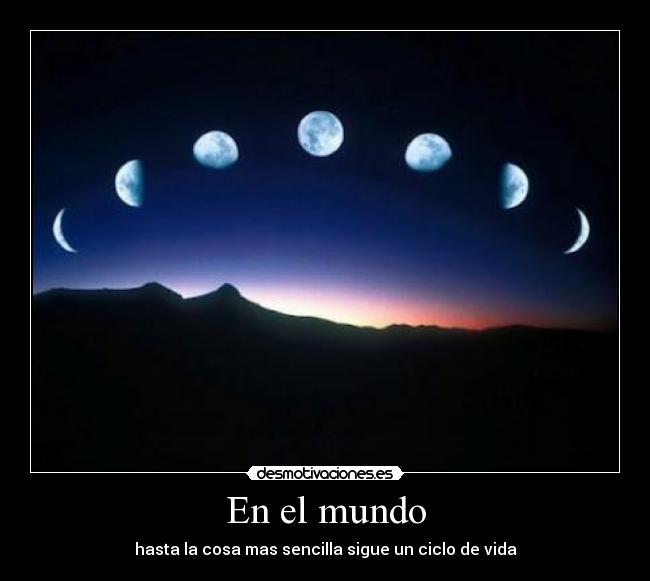 En el mundo - hasta la cosa mas sencilla sigue un ciclo de vida
