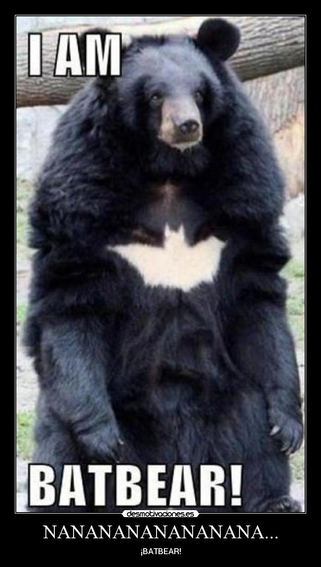 NANANANANANANANA... - ¡BATBEAR!