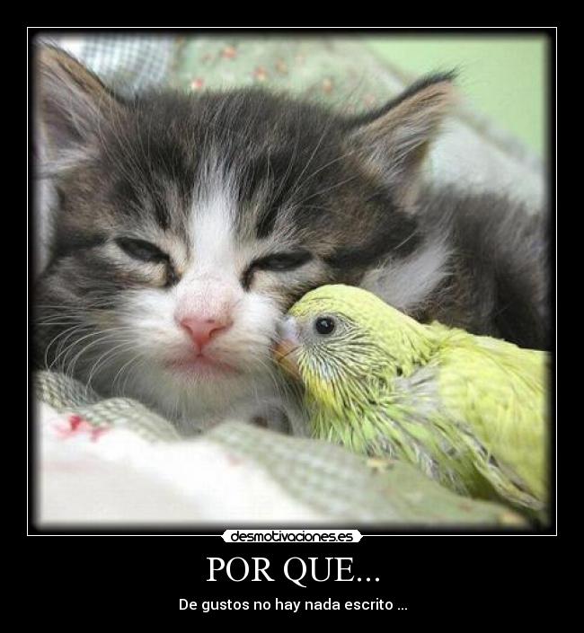 POR QUE... - De gustos no hay nada escrito ...