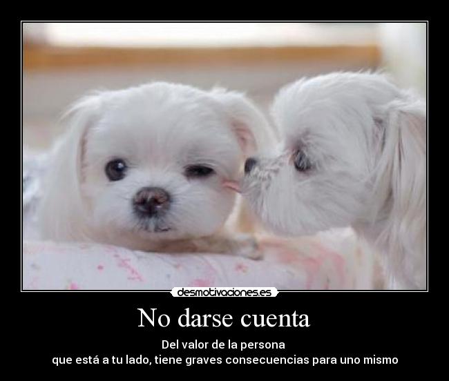 No darse cuenta - Del valor de la persona
que está a tu lado, tiene graves consecuencias para uno mismo