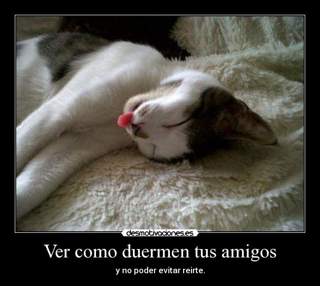 Ver como duermen tus amigos -