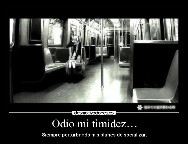 Odio mi timidez… - 