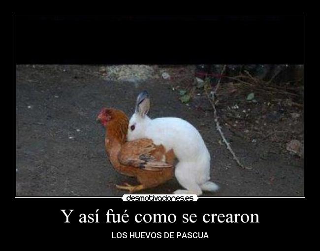 Y así fué como se crearon - 