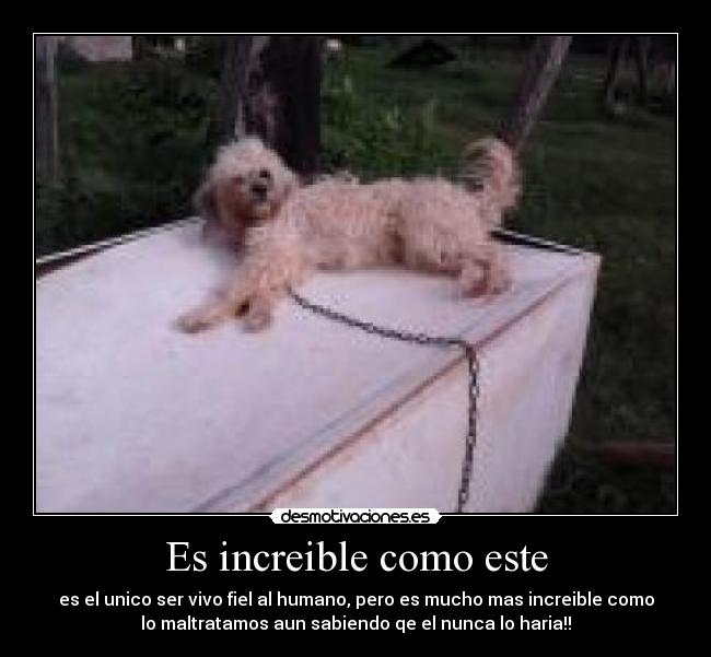 carteles tuyyo 100mpre desmotivaciones