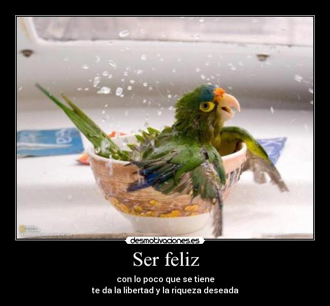 Ser feliz -
