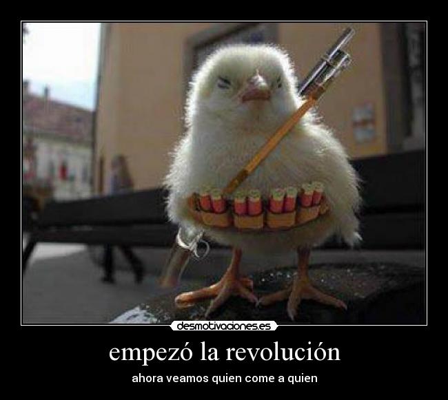 carteles revolucion desmotivaciones