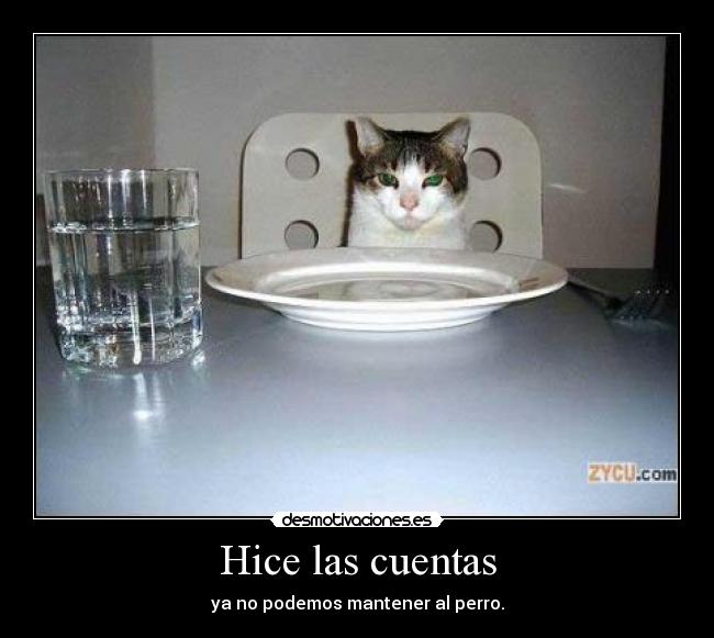 Hice las cuentas - ya no podemos mantener al perro.