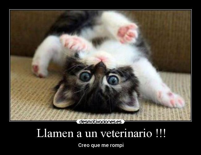 Llamen a un veterinario !!! -
