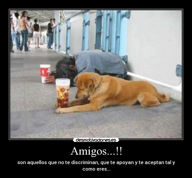 Amigos...!! -