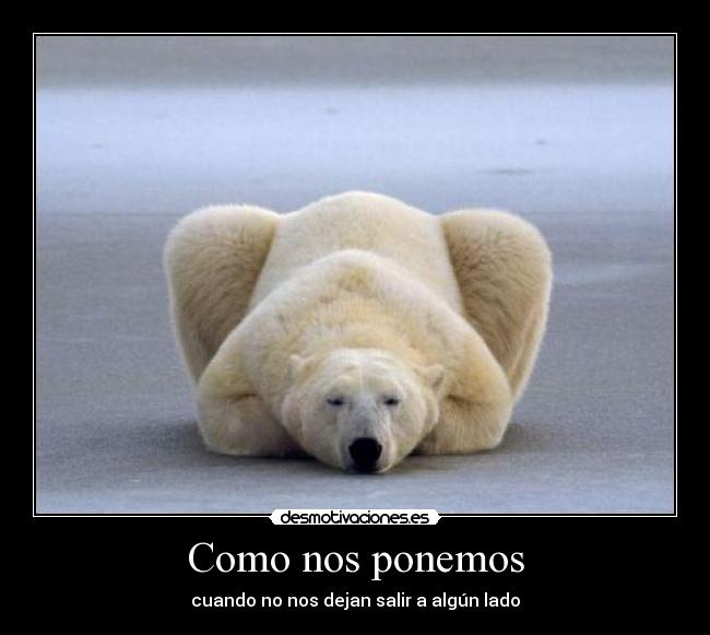 carteles salir desmotivaciones