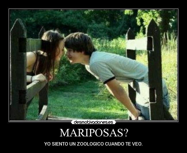 MARIPOSAS? - YO SIENTO UN ZOOLOGICO CUANDO TE VEO.