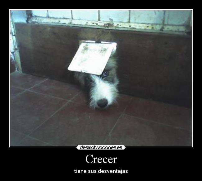 carteles pirulo desmotivaciones