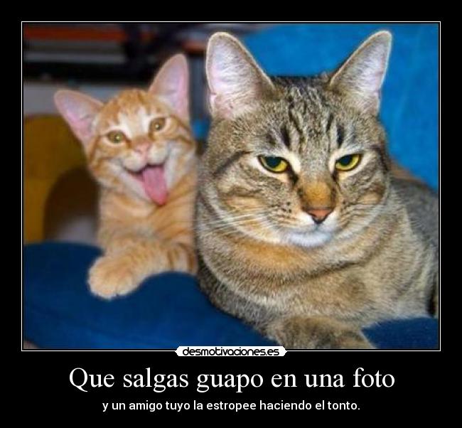 Que salgas guapo en una foto -