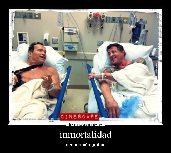 inmortalidad - descripción gráfica