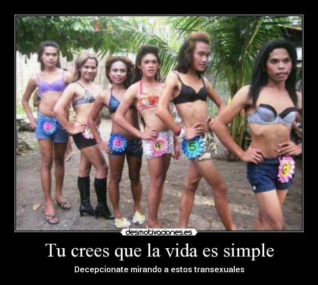 Tu crees que la vida es simple -