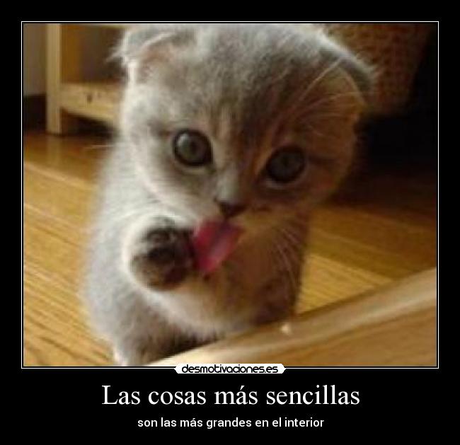 Las cosas más sencillas - 