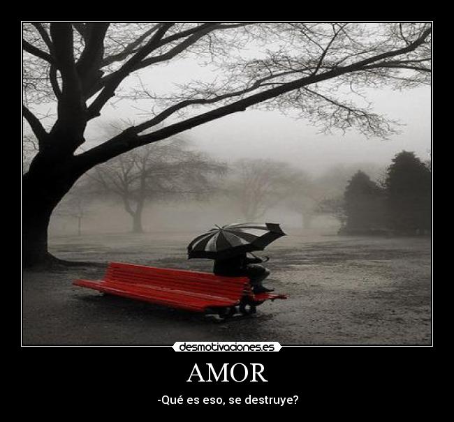 AMOR - 