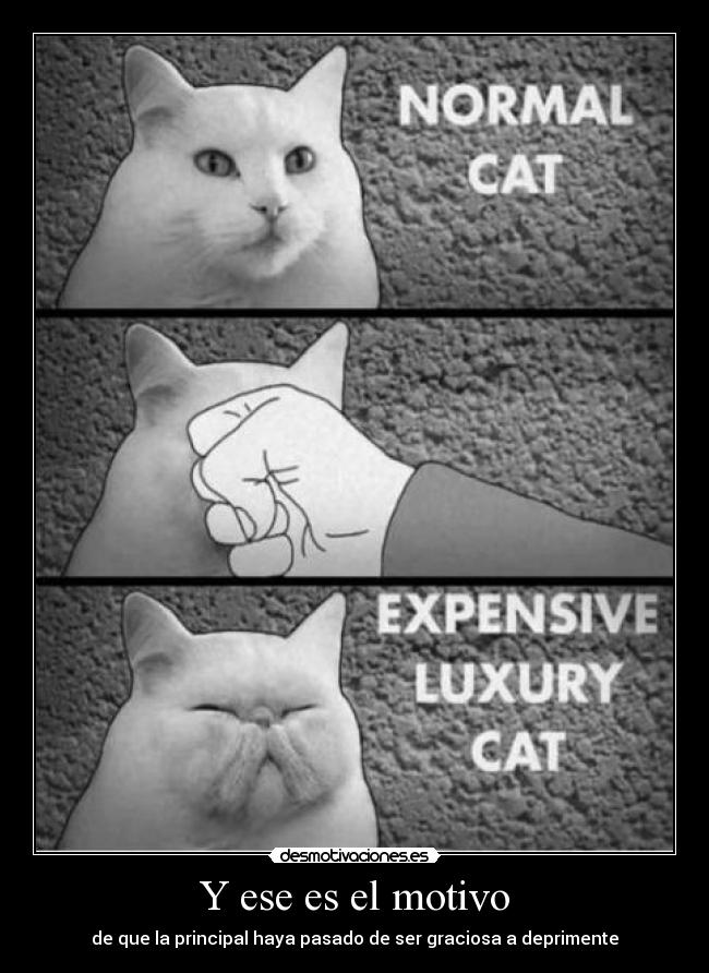 Y ese es el motivo - 