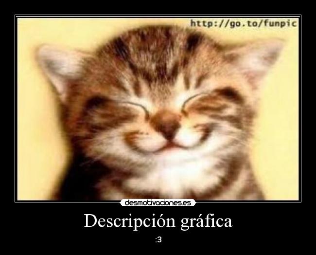 Descripción gráfica - :3
