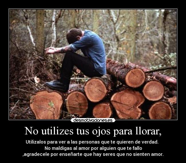 No utilizes tus ojos para llorar, - Utilizalos para ver a las personas que te quieren de verdad.
No maldigas al amor por alguien que te fallo
,agradecele por enseñarte que hay seres que no sienten amor.