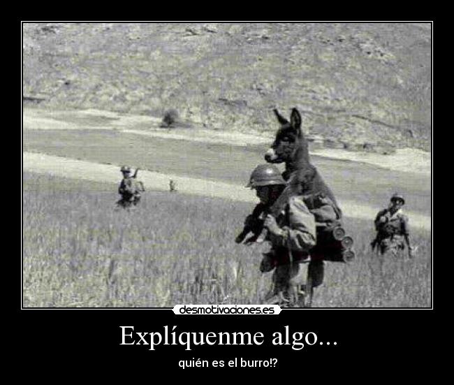 Explíquenme algo... -