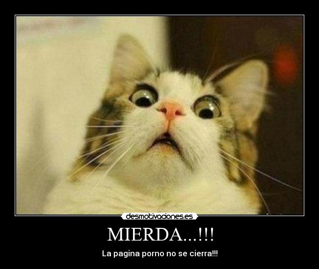 MIERDA...!!! -