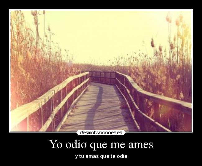 carteles odio meli hess desmotivaciones