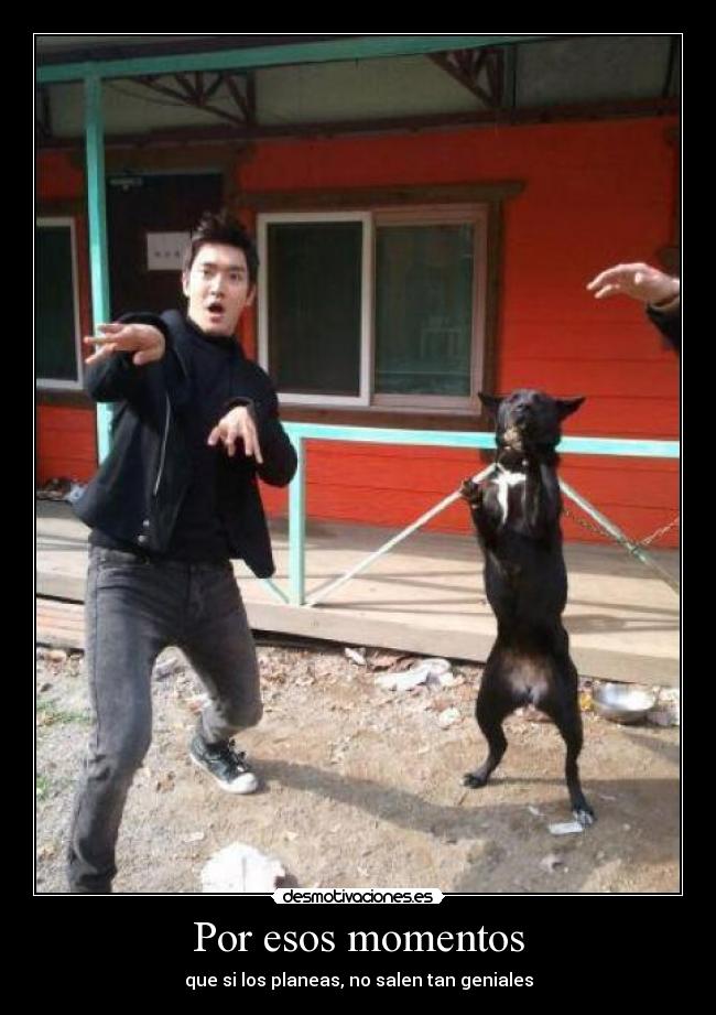 carteles momentos perfectos desmotivaciones