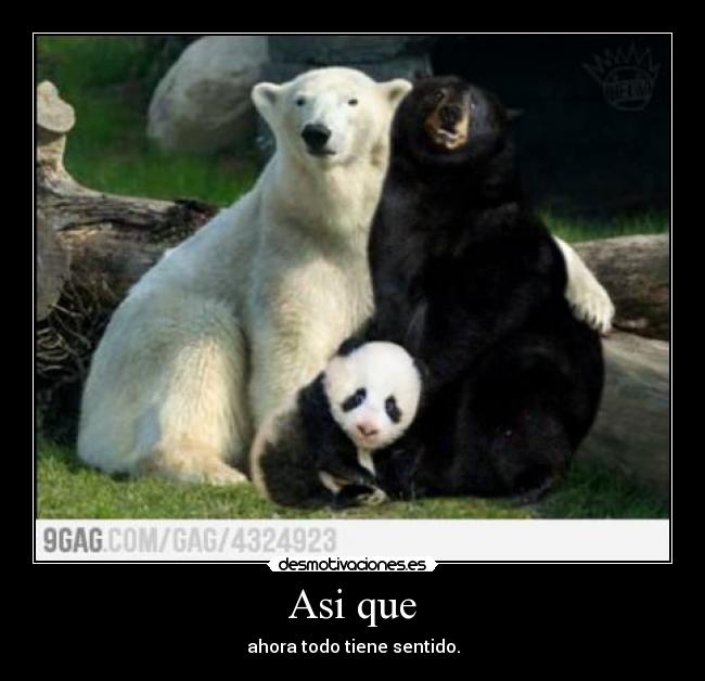 Asi que - ahora todo tiene sentido.