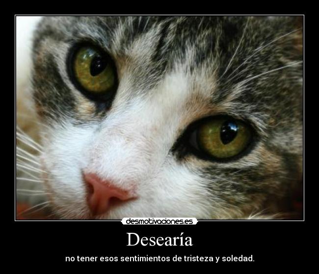 Desearía - no tener esos sentimientos de tristeza y soledad.