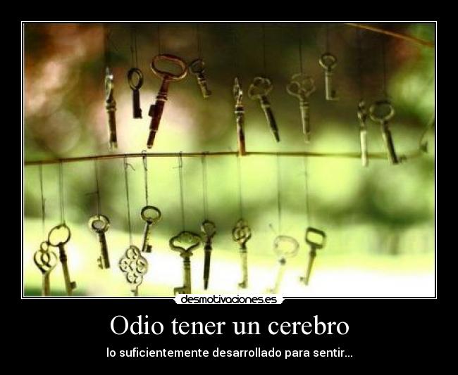 carteles odio isma que esta harto vivir sinceramente desmotivaciones