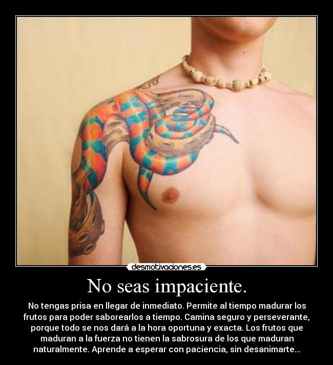 carteles alma pena desmotivaciones