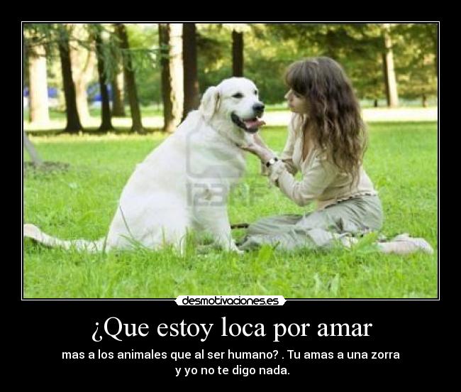 ¿Que estoy loca por amar - mas a los animales que al ser humano? . Tu amas a una zorra
 y yo no te digo nada.