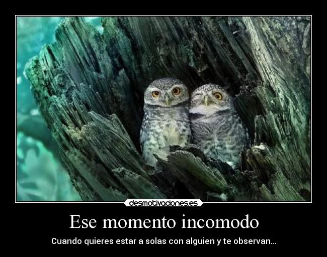 Ese momento incomodo - Cuando quieres estar a solas con alguien y te observan...